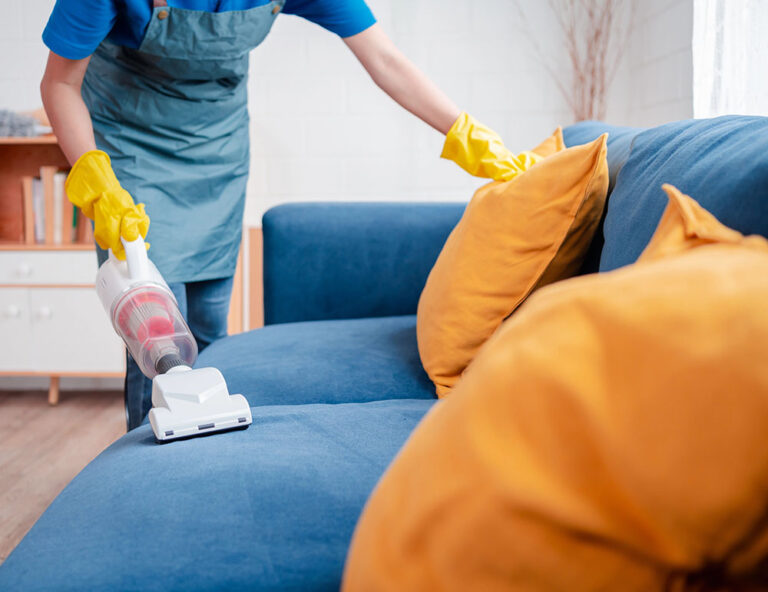 professional domestic cleaning services